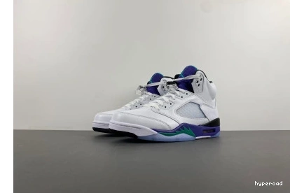 Hyperoad Retro Jordan (2013) 5 Grape 1211